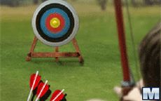 Max Arrow Archery