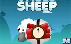 Suicide Sheep