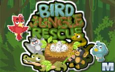 Bird Jungle Rescue