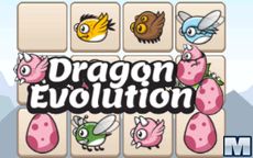 Dragon Evolution