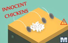 Innocent Chikens