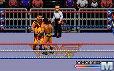 WWF Rage in the Cage