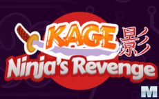 Kage's Ninja Revenge