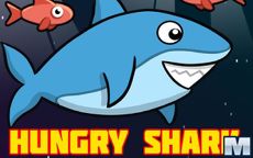 Hungry Shark