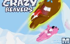 Crazy Beavers